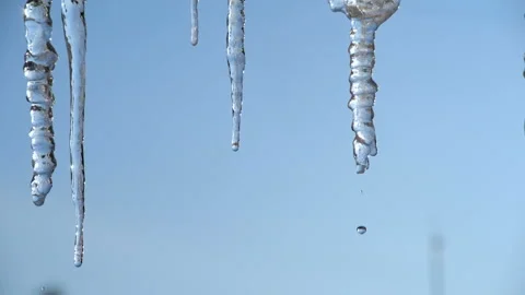 Icicles in spring Stock Footage 103265035