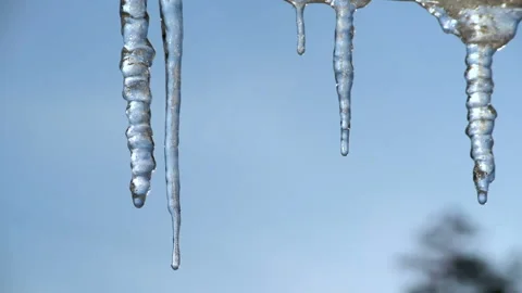 Icicles in spring Stock Footage 103265168