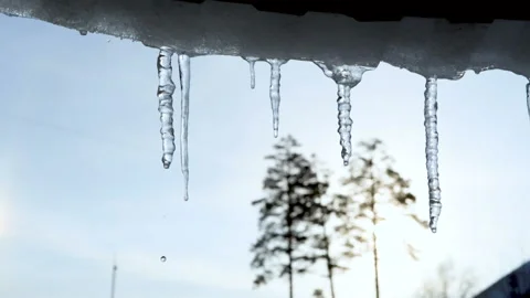 Icicles in spring Stock Footage 103265302