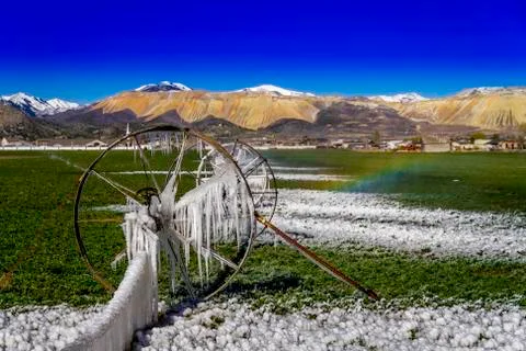 Icicles in the spring Stock Photos