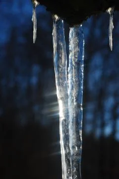 Icicles in the sun Illustrazione stock