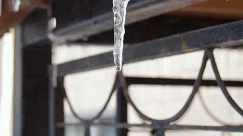 Icicles in the sunlight. Stock Footage 170151325