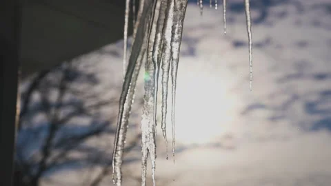 Icicles at sunset Stock Footage 147833341