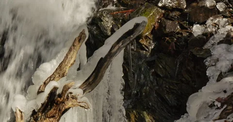 Icicles on the tree brunches and rocks near waterfall in springtime Video stock 60950937