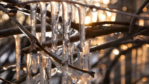 Icicles on the tree Video stock 87205872