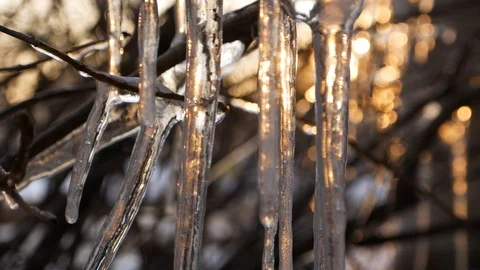 Icicles on the tree 動画素材 87205915