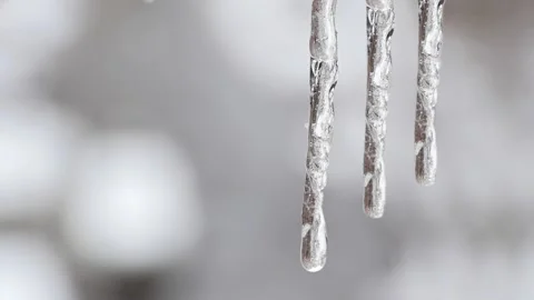 Icicles on white winter blurred background Stock Footage 237716067