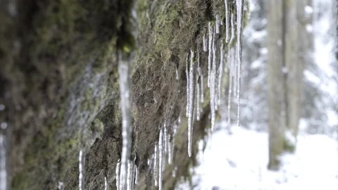 Icicles in winter forrest 2 4K Video stock 85539266