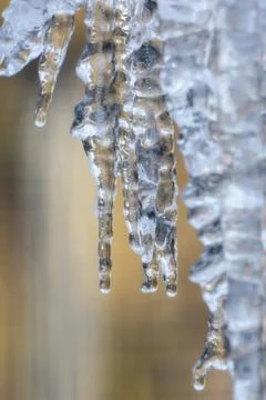 Icicles in the winter Stock Photos