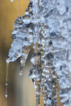 Icicles in the winter Foto stock