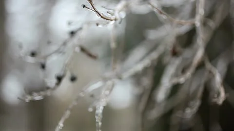 Icing Stock Footage 12456486