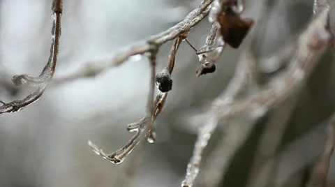Icing Stock Footage 12456493