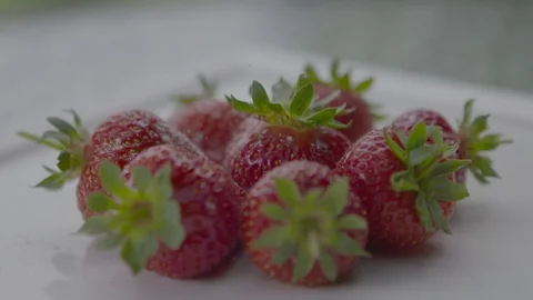 Icing sugar on strawberries Stock Footage 74078419