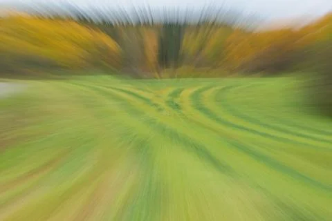 ICM of field. Stock Photos