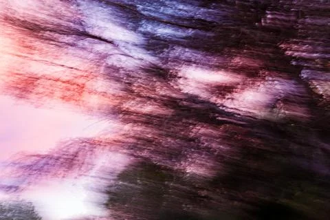 ICM Intentional Camera Movement Forest Abstract 스톡 사진
