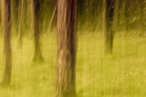 ICM-intentional camera movement Stock Photos