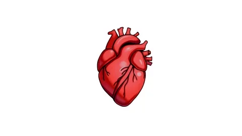 Icon of beating human heart isolated on white background. 4k footage Stock Footage 287341171