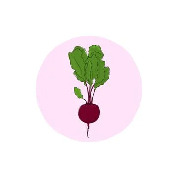 Icon beet root vegetable Stock Illustration