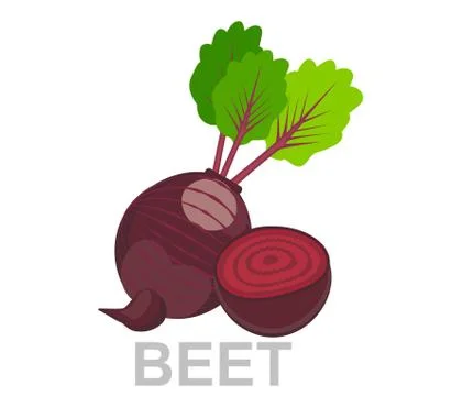 Icon Beet whole and in section. vector sugar Beet illustration isolated - hea Stock Illustration
