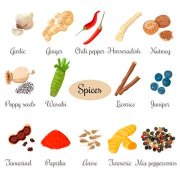 Icon big set of popular culinary spices Stock Illustration