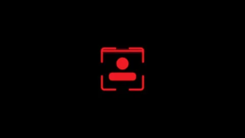 Icon Biometric Scan Animation Face Recognition Scan Security Technology Stock Footage 330792658