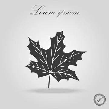 Icon black silhoutte maple leaf. black line art maple leaf isolated backgro.. Stock Illustration