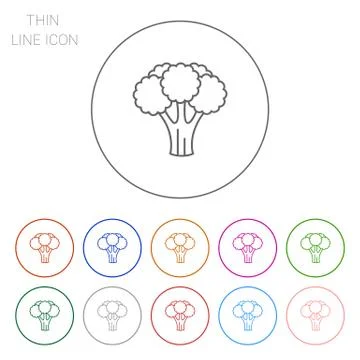 Icon of broccoli curd Stock-Illustration