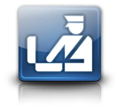 Icon, button, pictogram customs Stock Illustration