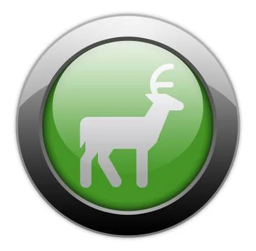 Icon, Button, Pictogram Deer Stock Illustration