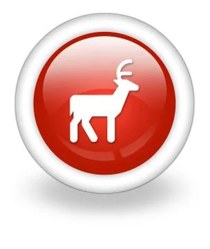 Icon, Button, Pictogram Deer Stock Illustration
