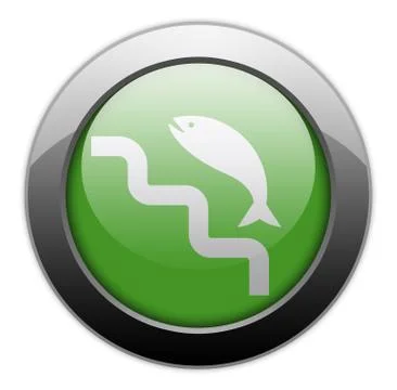 Icon, Button, Pictogram Fish Ladder Stock Illustration