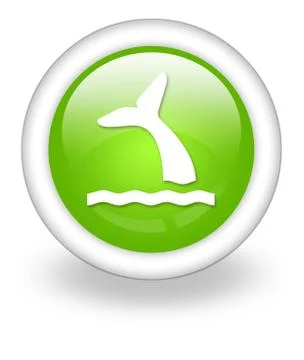Icon, Button, Pictogram Whale Stock Illustration