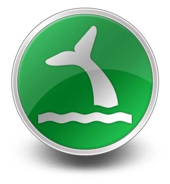 Icon, Button, Pictogram Whale Stock Illustration