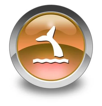 Icon, Button, Pictogram Whale Stock Illustration
