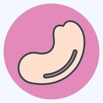Icon Cashew. suitable for Nuts symbol. color mate style. simple design editab Stock Illustration