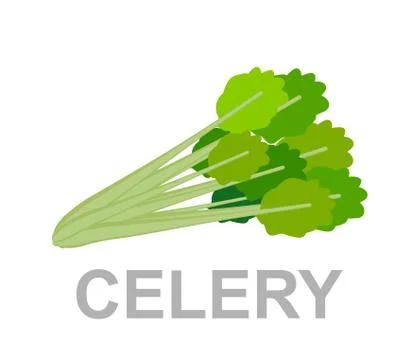 Icon Celery whole and section Stock Illustration