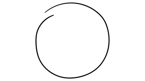 Icon Circle whiteboard animation 4K footage Stock Footage 116572774
