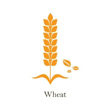 Icon design, vector on white background. Agriculture wheat logo Stock Illustration
