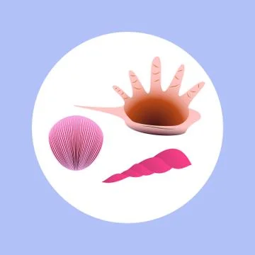 Icon different type of shells in circle Stock Illustration
