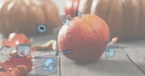 Icon fading initiating data visualization, pulsing gear, globe and graph Video stock 317772234