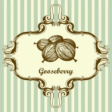 Icon Of Gooseberry Stock Illustration