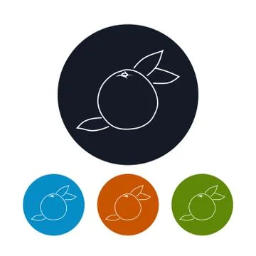 Icon  Grapefruit in the Contours 스톡 일러스트