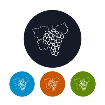 Icon  Grapes in the Contours Stock Illustration