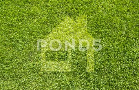 Icon home on green grass, texture background Stock Illustration