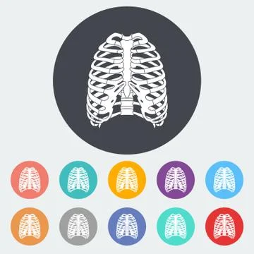 Icon of human thorax. Stock Illustration