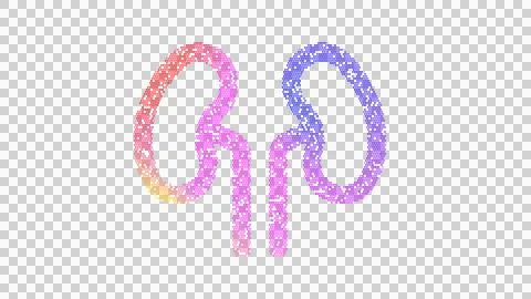 Icon kidneys is made up of LED square shapes. There are bright diodes and there Stock Illustration