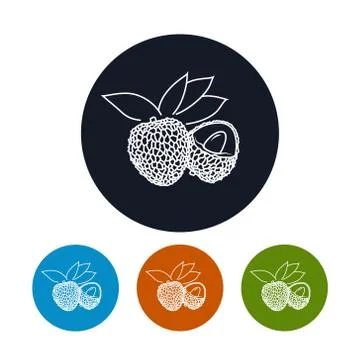 Icon  Lichee in the Contours Stock Illustration