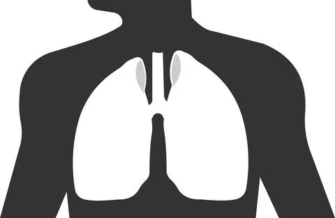 Icon of the lungs of the human respiratory system. Stock Illustration