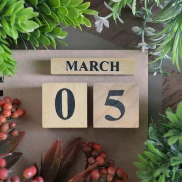 Icon of march 5 Stock Photos