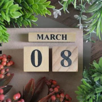 Icon of march 8 Stock Photos
